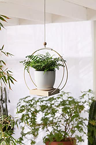 41bbSs06eLS-1.jpg
